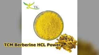 Chiết xuất Berberine HCL 97% TCM